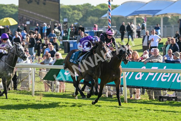 140525-Race 7-Great Bedwyn-3072 - Race 7 5.25pm Stuey Weston & Friends Getting Out Handicap