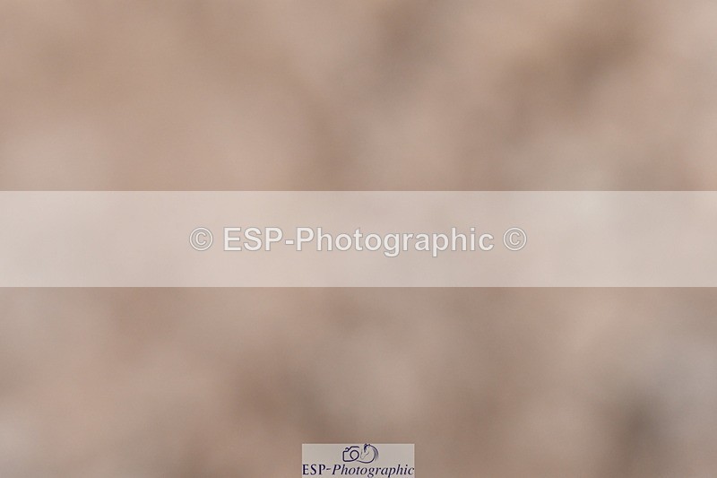 240107A-131354-01813 - UnAff Prelim 14