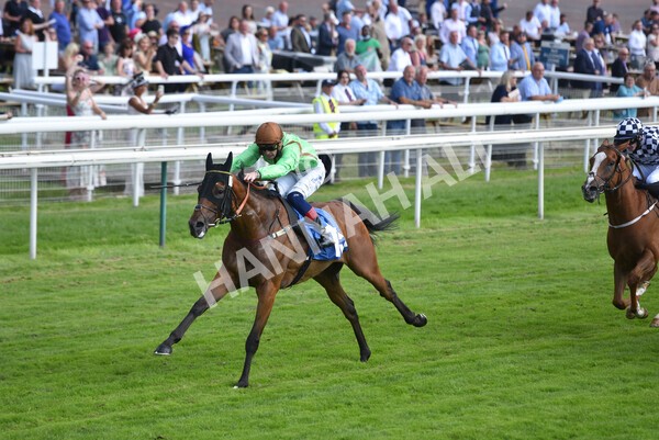 yr09072021r5-44 - Race 5: 4.20pm Garbutt + Elliott Stakes