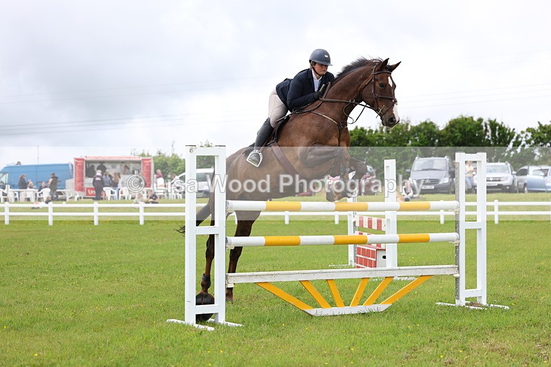 3E7A7074 - Class 12: Senior Foxhunter/1.20 open