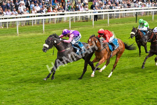 170523-Race 3-Azure Blue-8710 - Race 3 3.00pm 1895 Duke of York Clipper Logistics Stakes