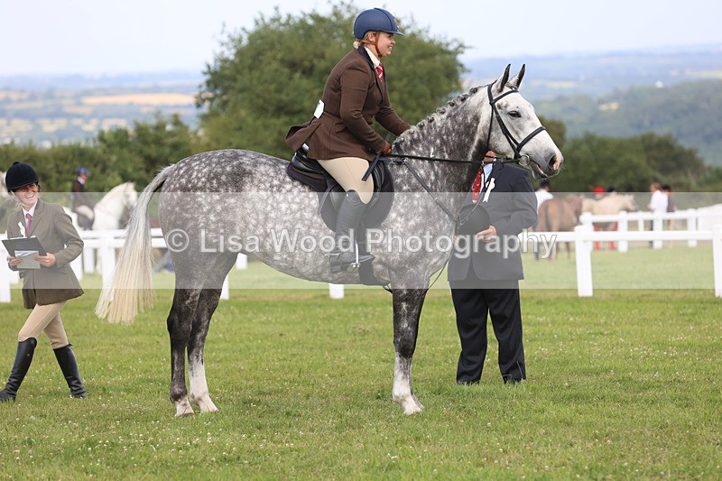JPP_3798 - Class 23: Working Hunter 80cm