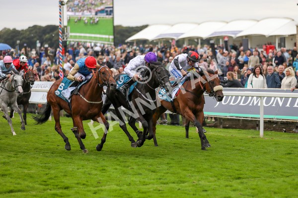 210824-Race 7-Yes Im Mali-7491 - Race 7 5.20pm Sky Bet Nursery Handicap