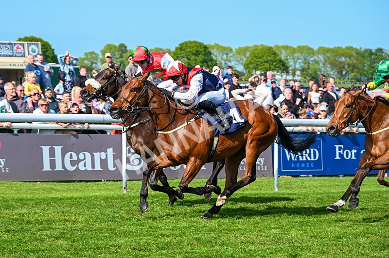 040526-Race 5-Copper Knight-2627 - Race 5