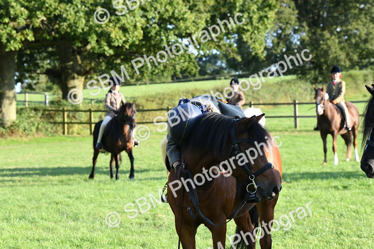 SBM_54155 - S23 - 1st Ridden Mountain & Moorland Pony