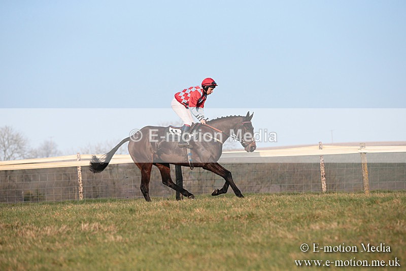 PtP 230219 596 - Vine & Craven Point-To-Point - Barbury 23/02/19