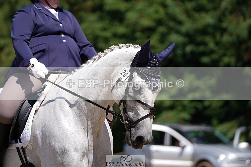 240719-133322-01913 - 201-Joanna_Philp-Darker_shade_of_pale