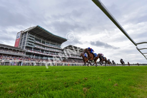 220824-Race 4-Content-4053 - Race 4 3.35pm Pertemps Network Yorkshire Oaks