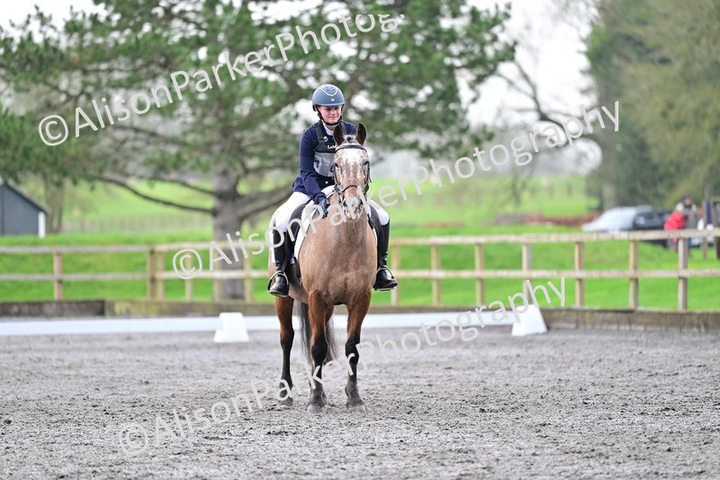 20260125-3688 - Class 12 - Novice