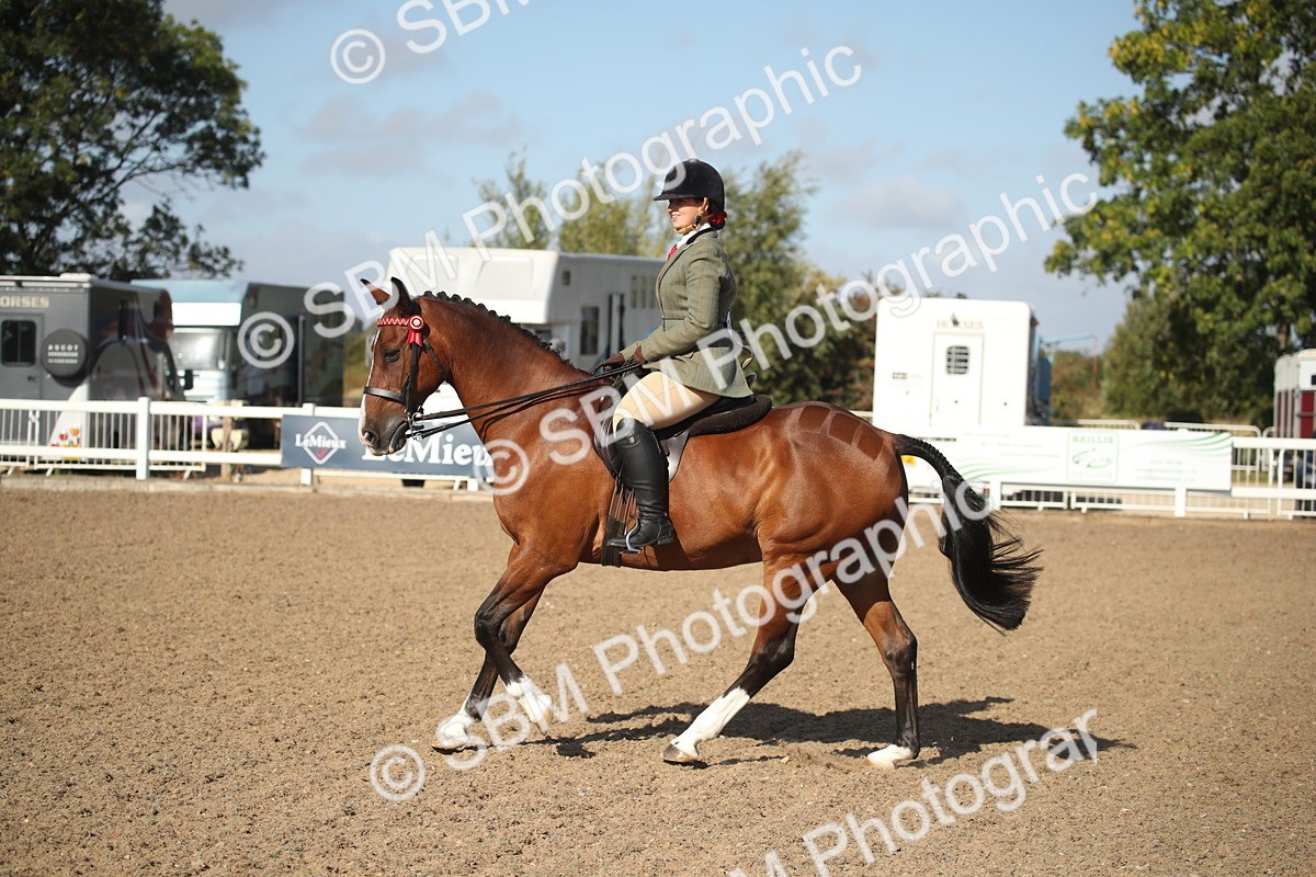 SBM_22717 - Class 601 - 2026 - Area - Ridden Diamond
