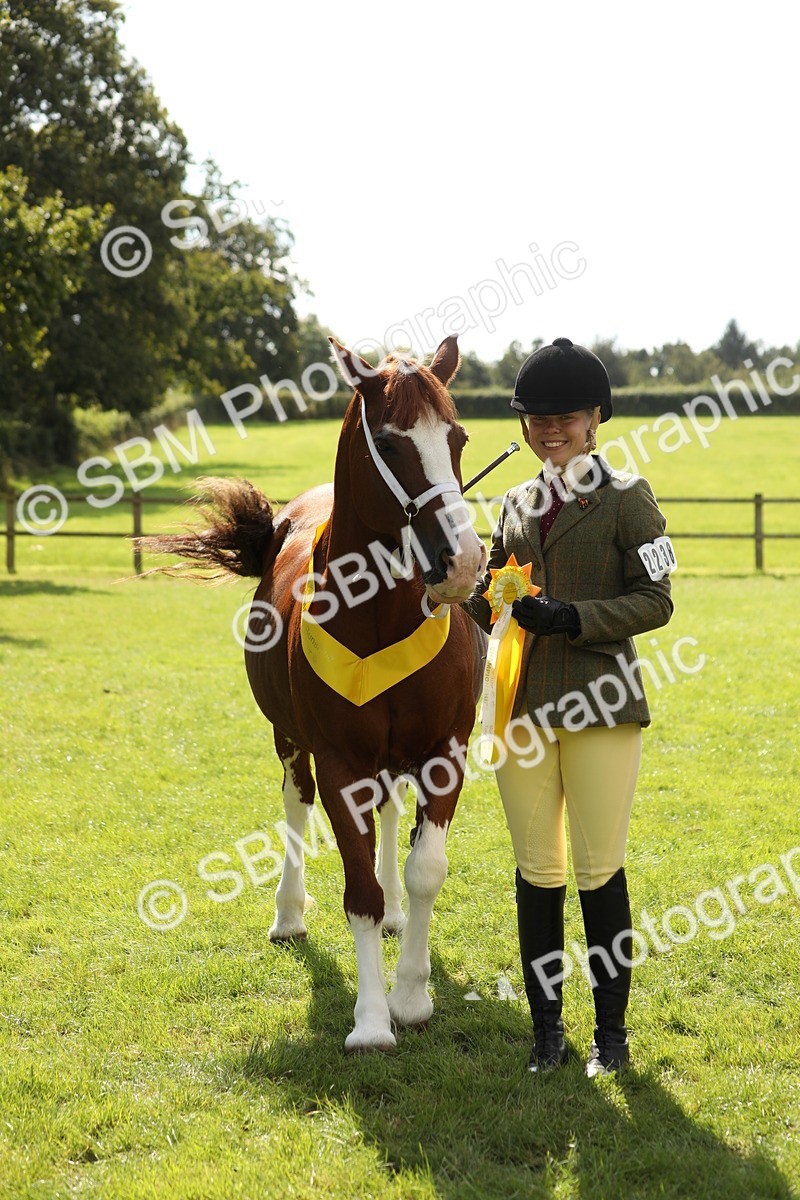 SBM_65516 - S47 - Mountain & Moorland In Hand Large Breeds