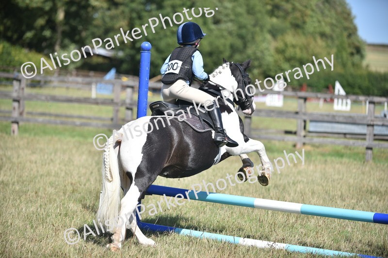 20260906-1712 - Class 9 - Absolute Novice Jumping 45cm