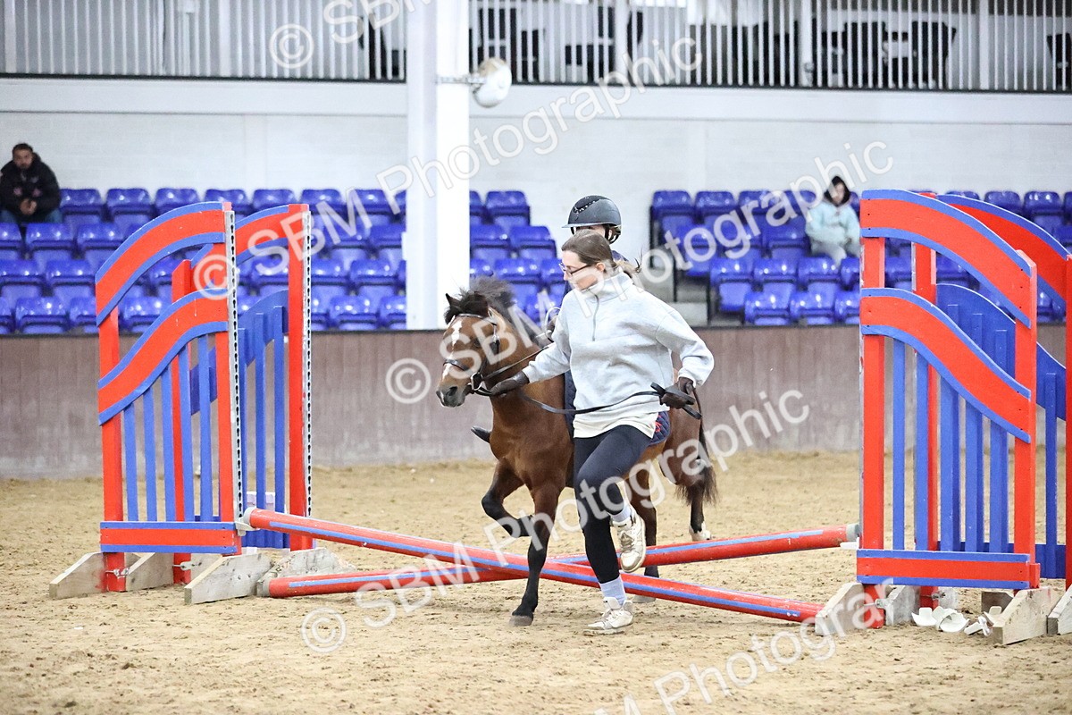 SBM_000079 - Class 1 - Fox Farriers 30cm