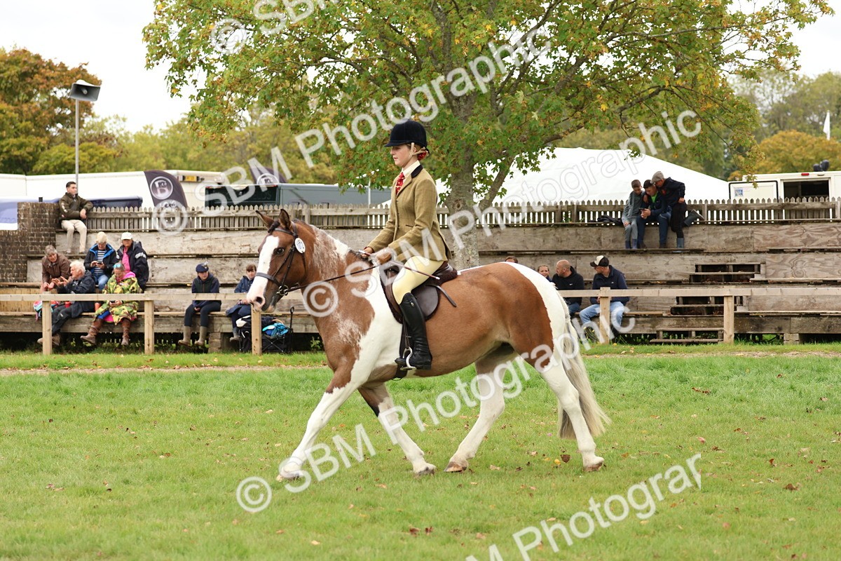 SBM_64553 - S58 - Coloured Pony Ridden