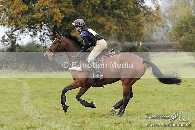 WWHT 181020 WWHT 181020 546 - WWEC Open Novice (0.80m) 18/10/20