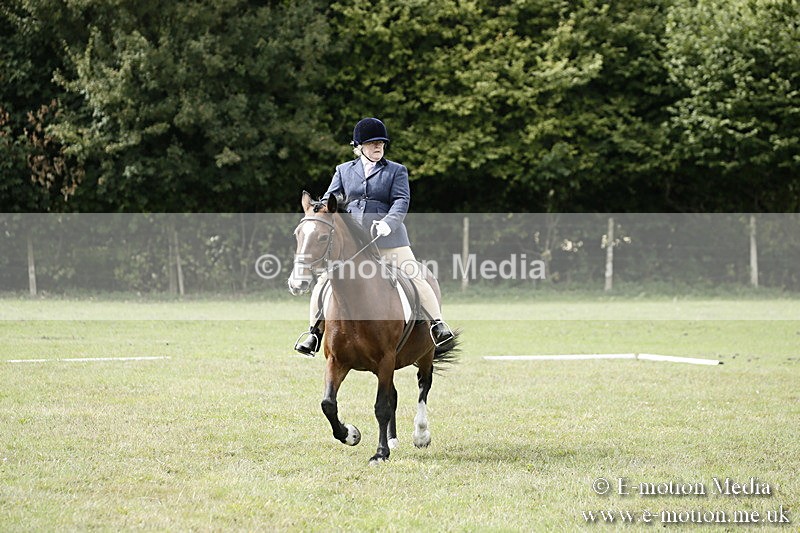 BVR080918 179 - BVRC Novice Dressage & CR 08/09/18