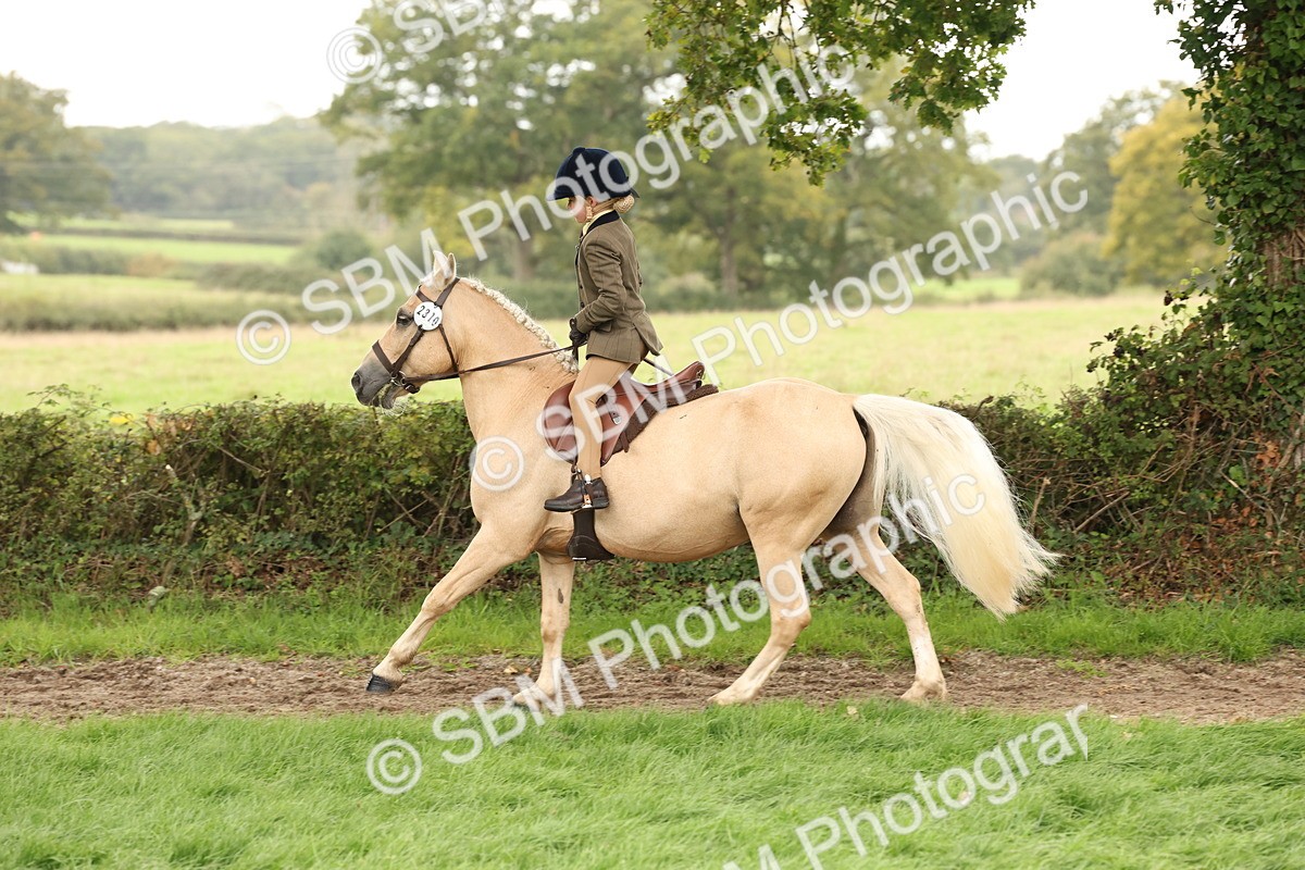 SBM_63020 - S64 - Foreign Breeds Ridden