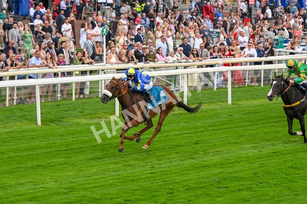 250725-Race 2-Rock N Roll Pinkie-5479 - Race 2 6.03pm Elevator Company Handicap