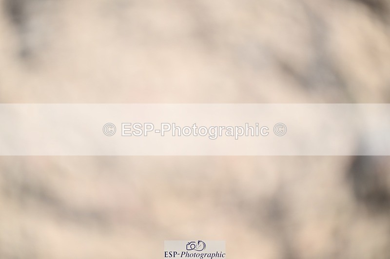 250924-132010-00423 - Cls 4 Newcomers and 1.10m Open