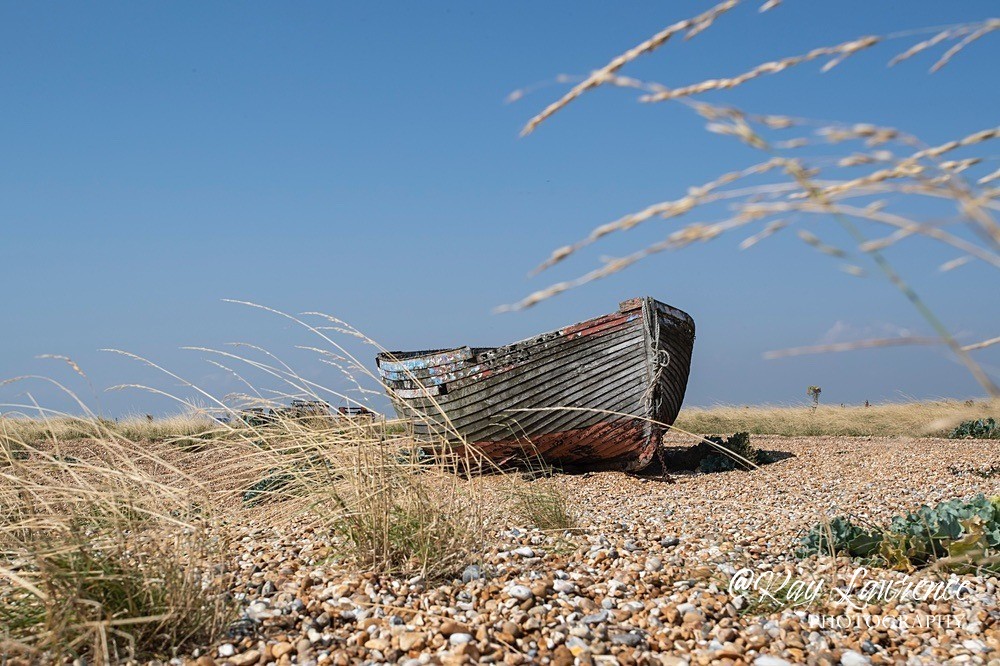 Beached_03_9_21-RLP28405 - Close to Home