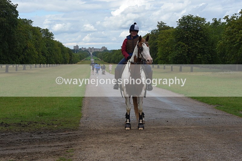 TT3_0373 - Time at Crossing 14:53 to 1526