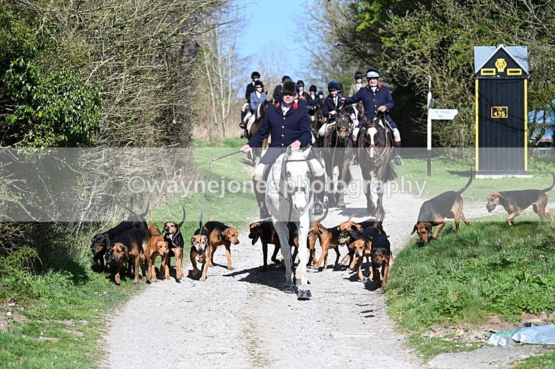 WJ7_9640 - Home for hunt tea !