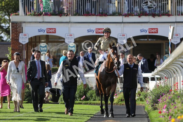 yr20082022r7-36 - Race 7 5.20pm Sky Bet Finale Stakes