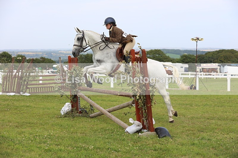 JPP_4160 - Class 25: Working Show Horse