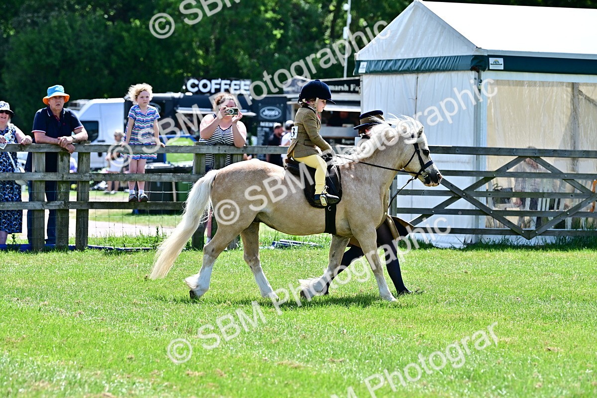 SBM_05789 - Class 59-60 - TSR M&M  Lear Rein and First Ridden Amateur of the year