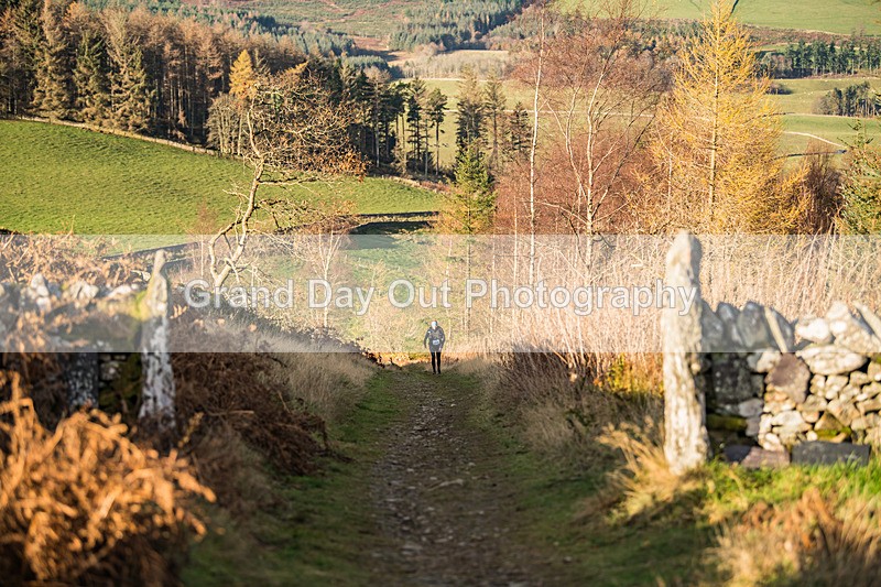 Tweed Valley-682 - High Terrain Events Tweed Valley 50 & 65K Ultra Trail Races Sunday 16th November 2025