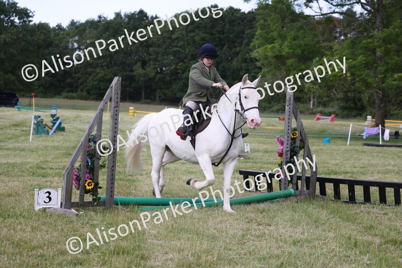 20260614-0769 - Class 20 - Beginners Working Hunter Pony