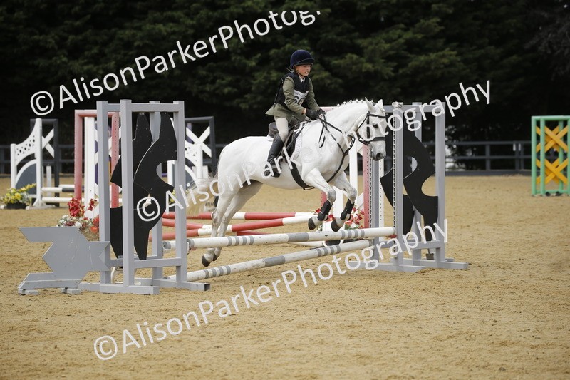 20250622-4744 - 50cm