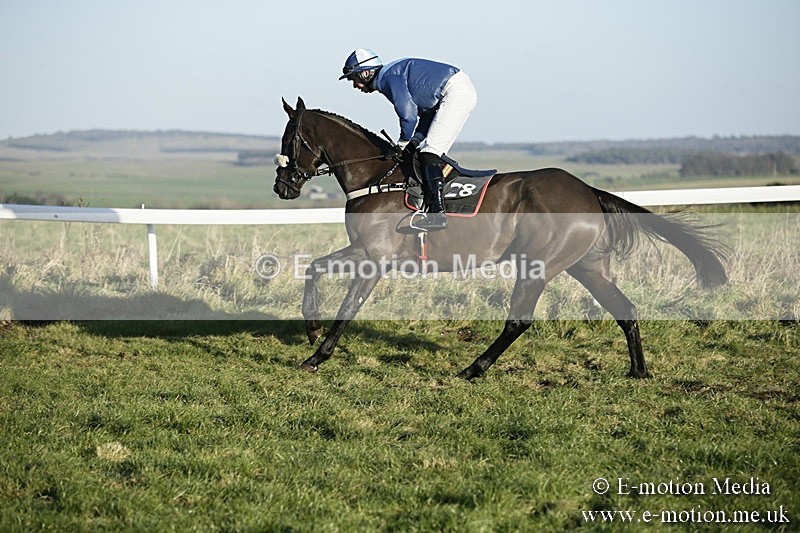 PtP 070118 -485 - Larkhill Racing Club Point to Point Larkhill 07/01/2018