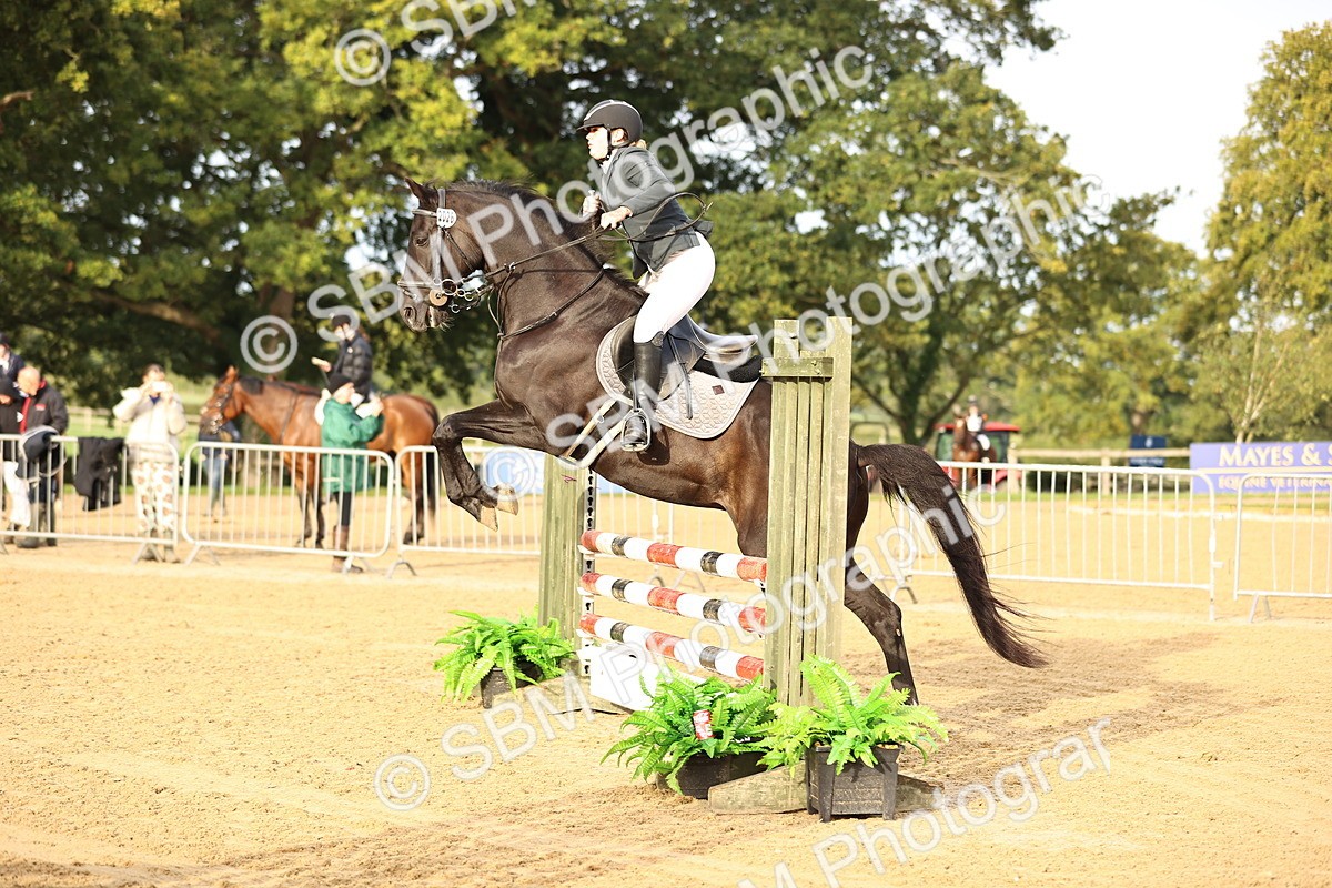 SBM_55154 - J62 - Clear Round 90cm