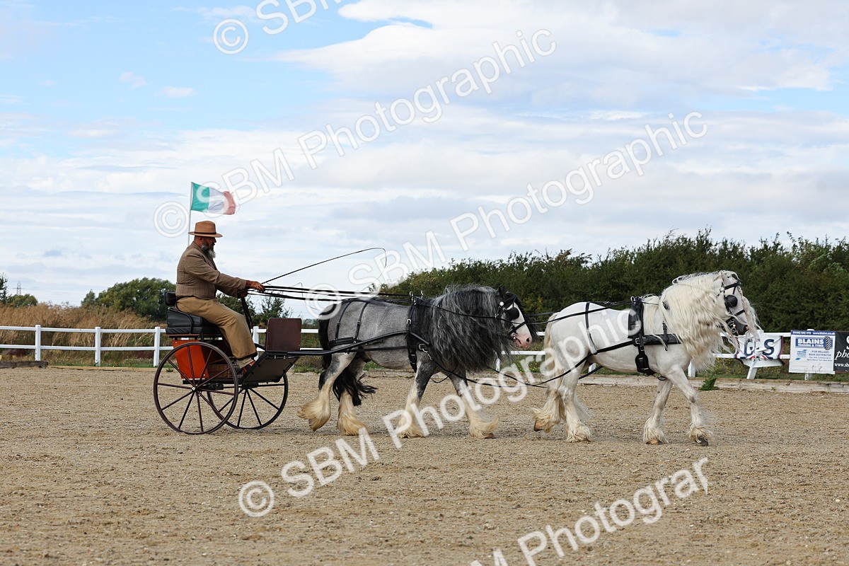 SBM_001200 - Class 16 - Pairs ,Multiples and Tandems
