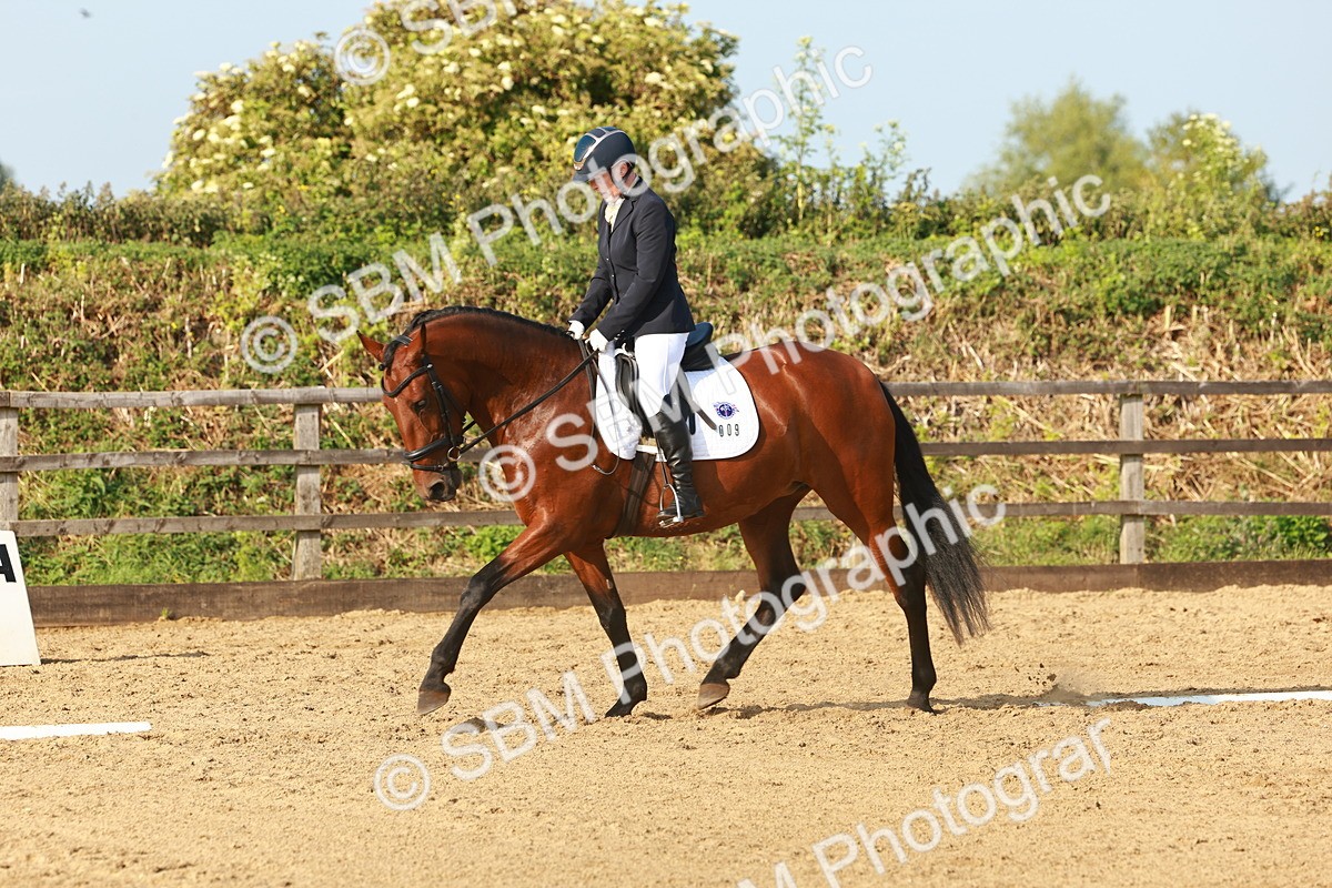 SBM_000384 - Class 5 - Novice 2