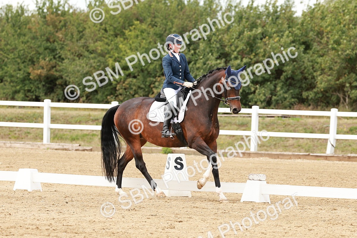 SBM_002185 - Class 11 - Medium 6