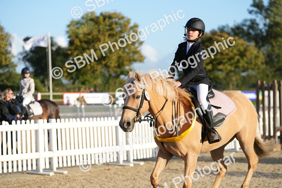SBM_54068 - J8 - Junior Pony 65cm Championship