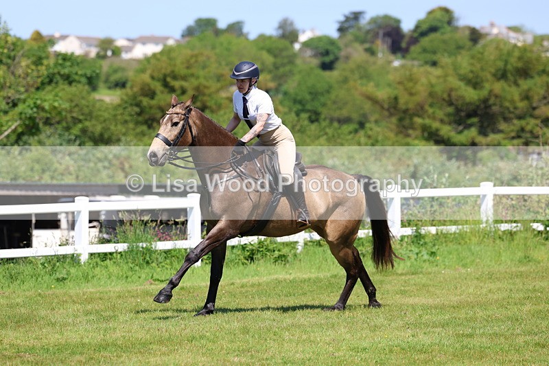 3E7A6942 - Class 30: Novice Working Hunter