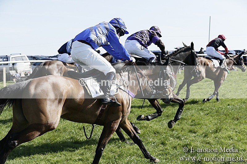 PtP 260317 229 - Mendip Farmers Point-to-Point Ston Easton 26/03/17