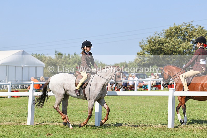 IMG_1880 - Class 33: Show Pony 148cm and under