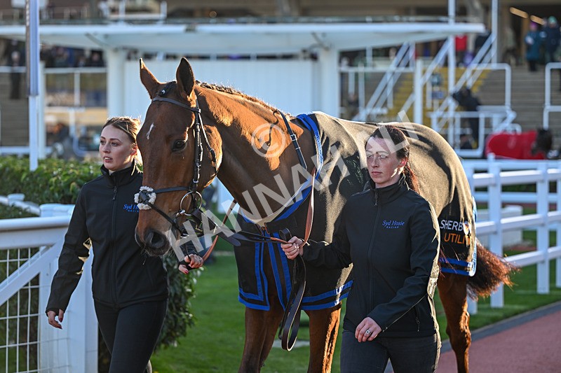 251025-Race 7-Crossgales King-0148 - Race 7
