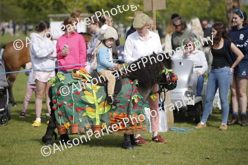 20260426-1229 - Class 6 - Fancy Dress