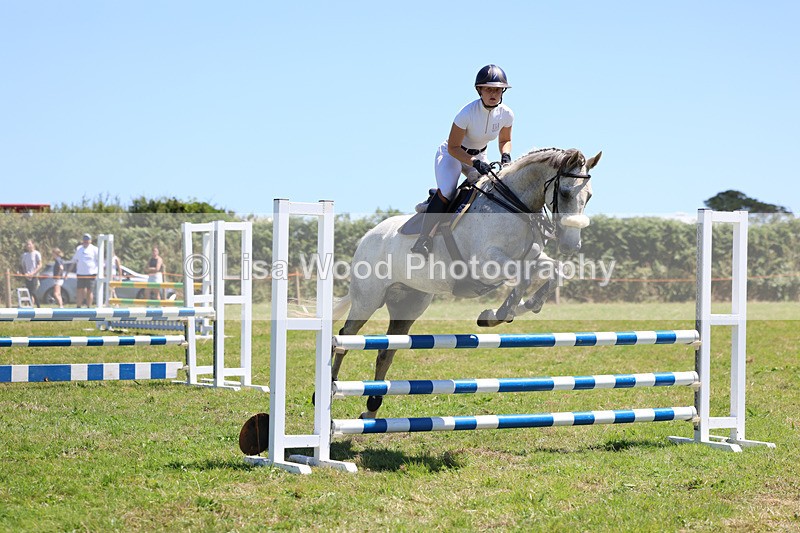 3E7A5579 - Class 9: Senior British Novice/90cm open