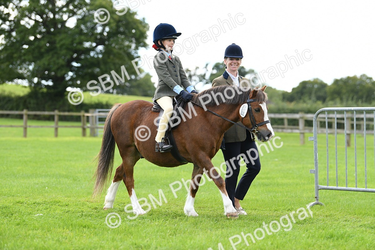 SBM_42417 - S20 - Lead Rein Mountain & Moorland Pony