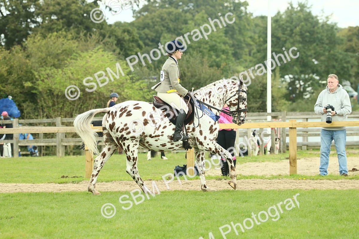 SBM_62561 - S62 - Foreign Breeds Ridden
