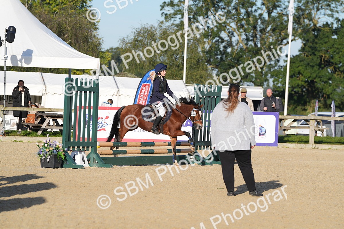 SBM_34317 - J62 - Clear Round 50cm