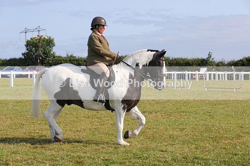 1X9A3330 - Class 28: Ridden Native/Trad Coloured Pony