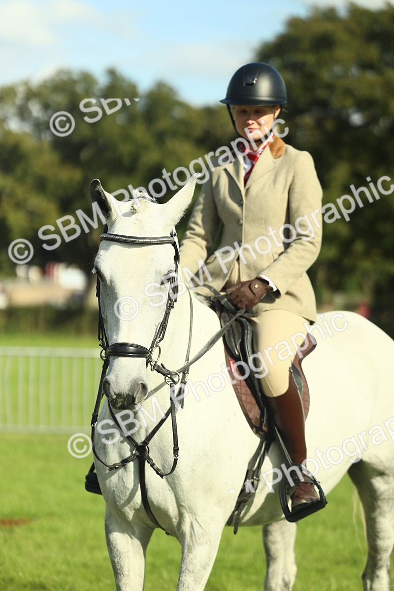 SBM_49835 - S32 - Novice & Newcomers Working Hunter