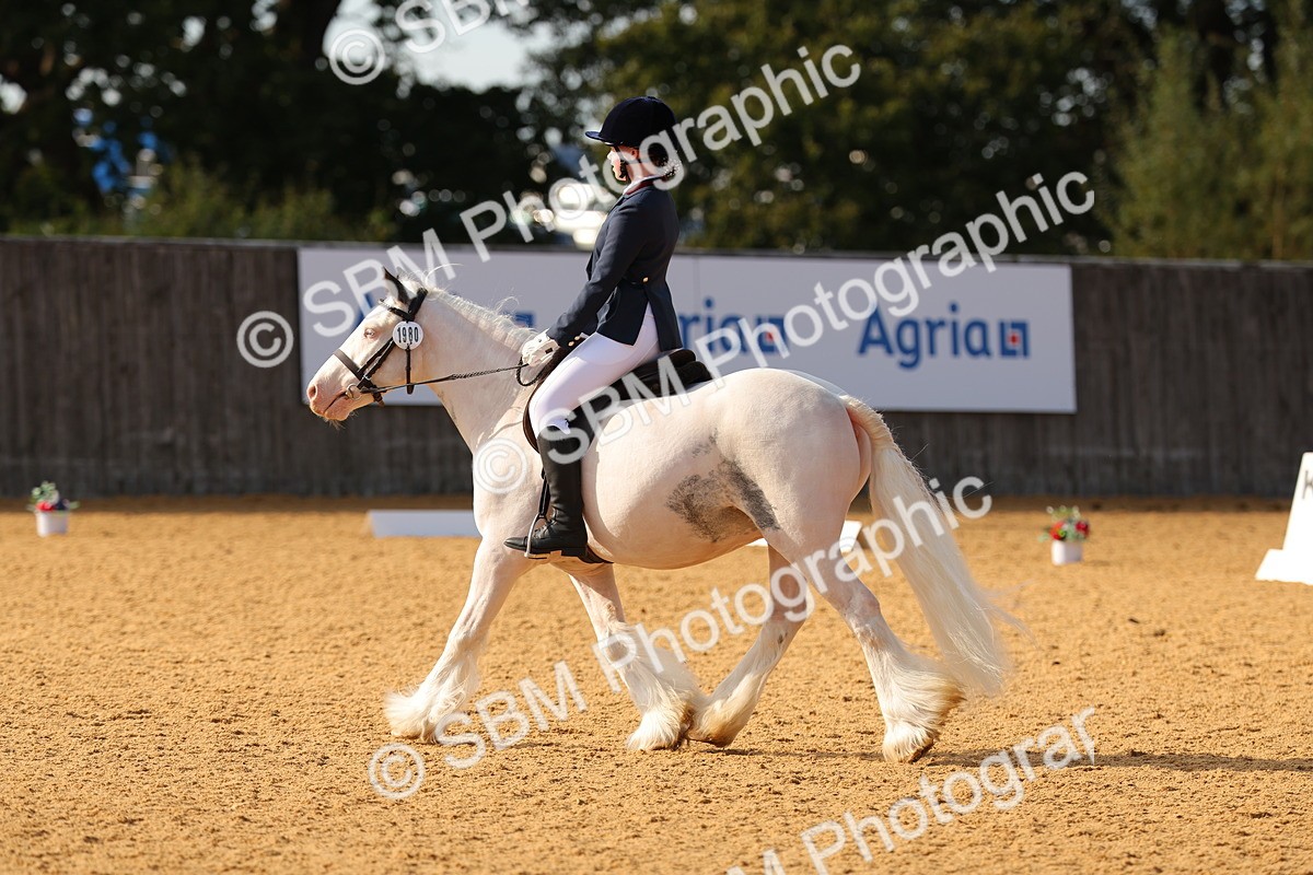 SBM_49670 - D22 - Junior Championship - Intro B